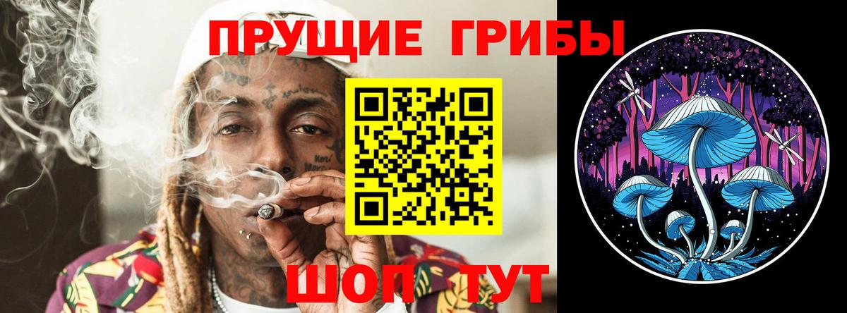 Галлюциногенные грибы GOLDEN TEACHER Бугуруслан